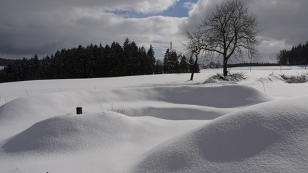 winterliche Hügelbeete